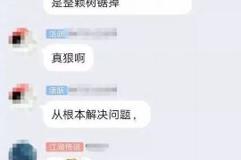 华容债务清欠服务